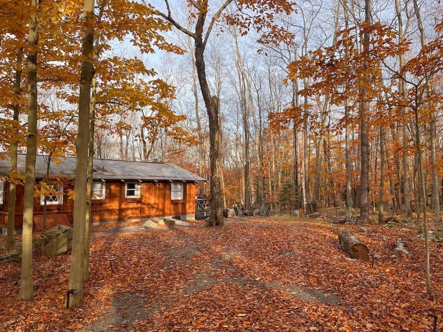 Stylish And Cozy Cabin, Walking Distance To Big Bass Lake Gouldsboro Zewnętrze zdjęcie